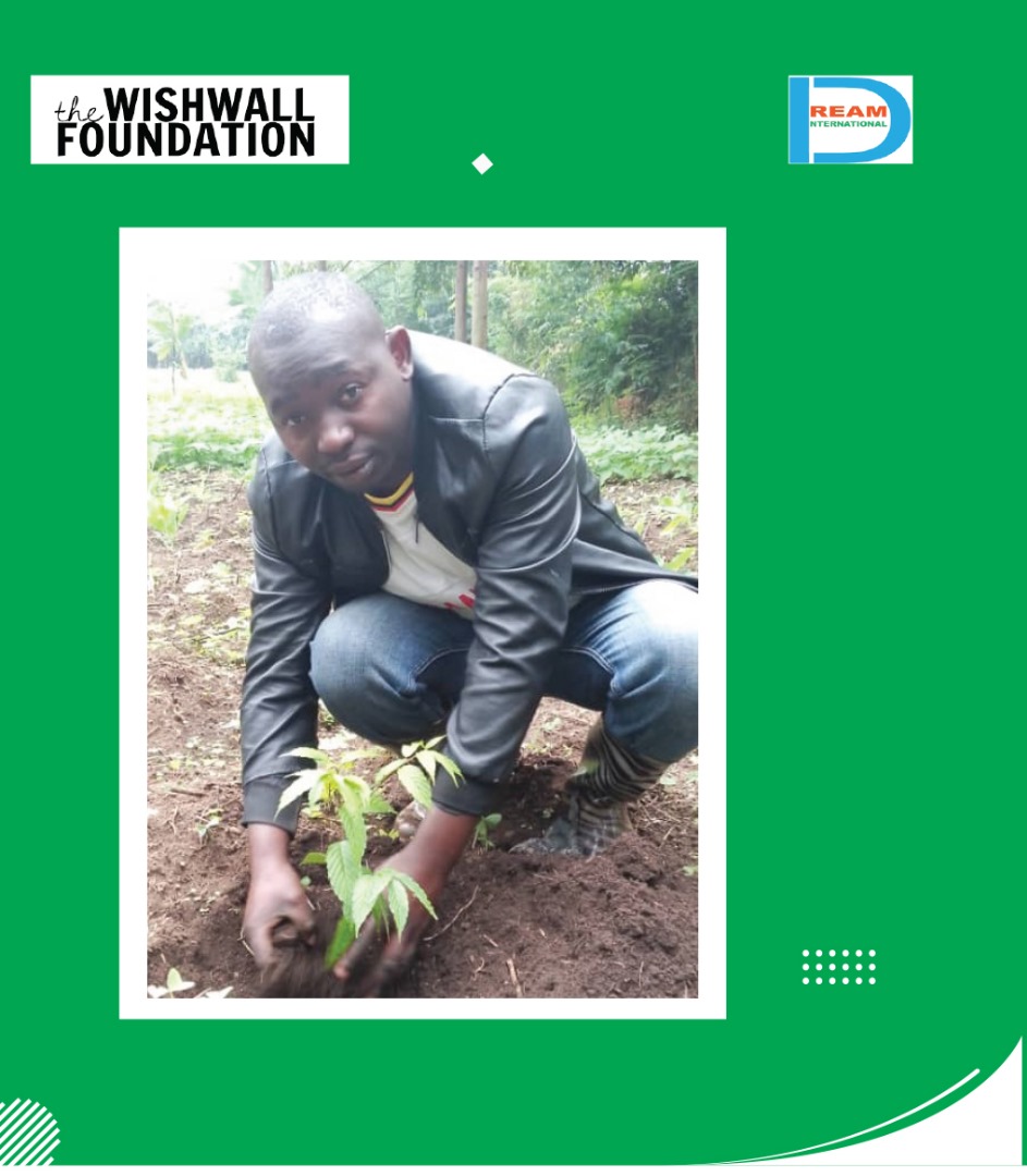 Planting for the restoration of landscapes in Rwenzori mountains