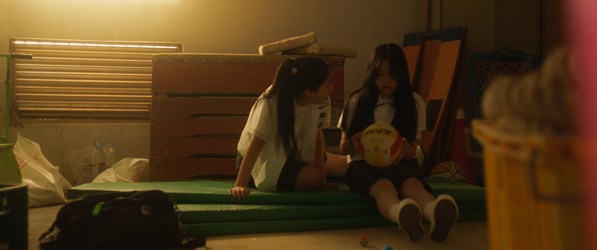 ⓒ2024 SAVE YOUR CAT Co. ALL RIGHTS RESERVED