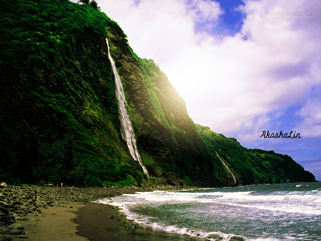 BTS: Shine through the Noise