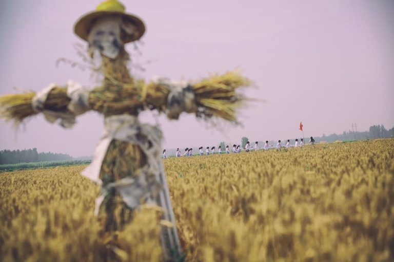 China Film (Shanghai) International Co.