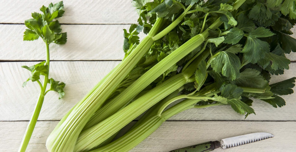 Image of Celery
