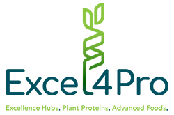 Excel4Pro Open Call