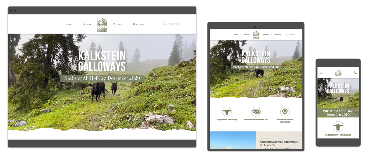 Website Referenz Kalkstein Galloways