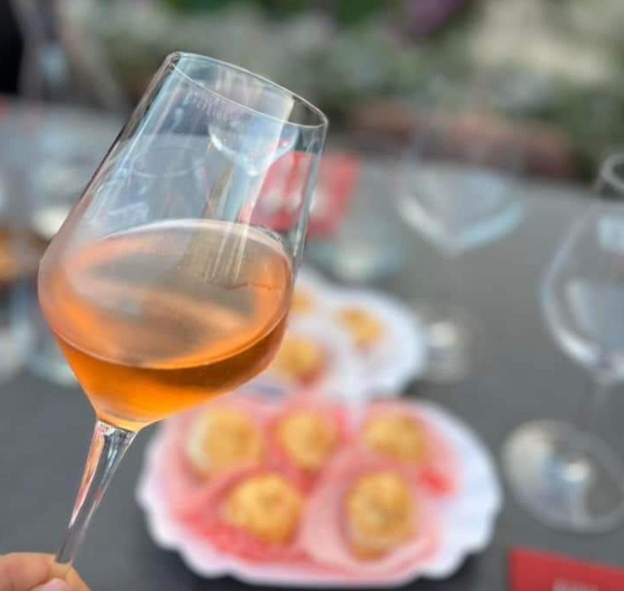 Split-Firule: Dalmatinische Wein- und Tapas-Verkostung