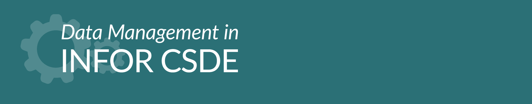 Data Management in Infor CSDE