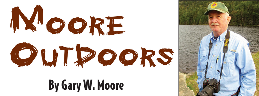 Moose And Deer Hearing To Be Held In St. J March 18