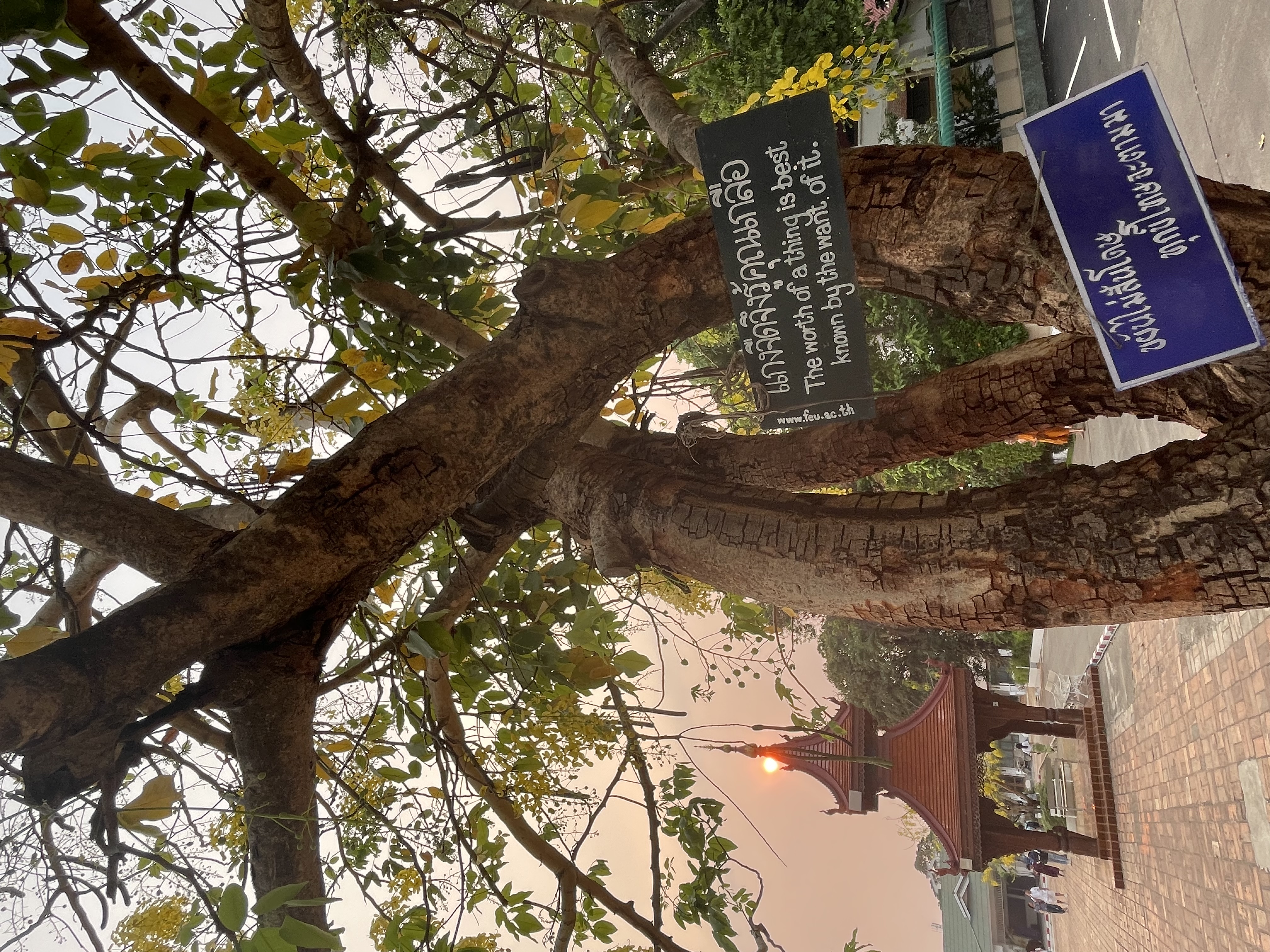 Could I live the &ldquo;never have I ever life&rdquo; this time?