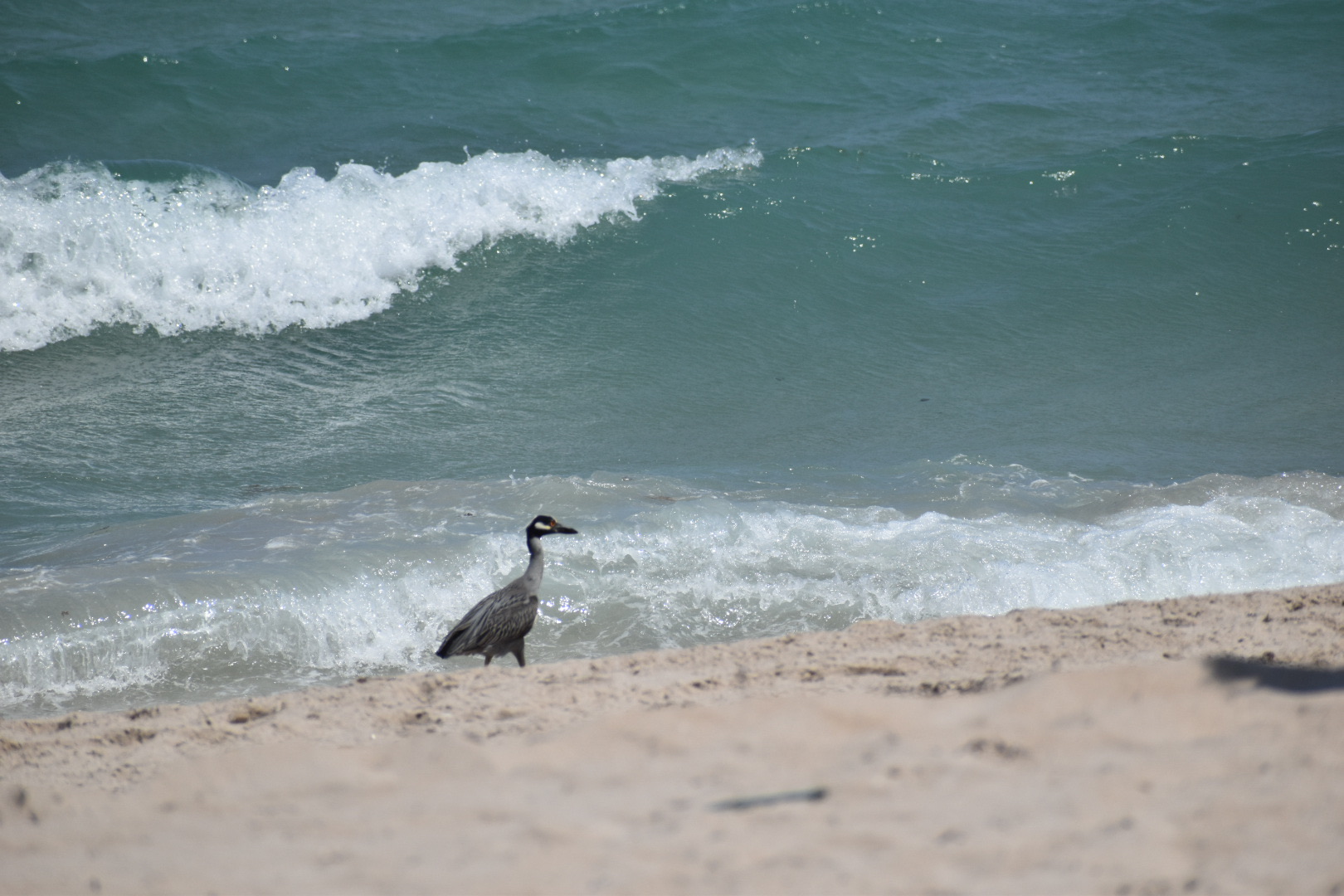 Real estate property located at 1760 Bel Air Ave, Bel Air, Lauderdale by the Sea, Fl