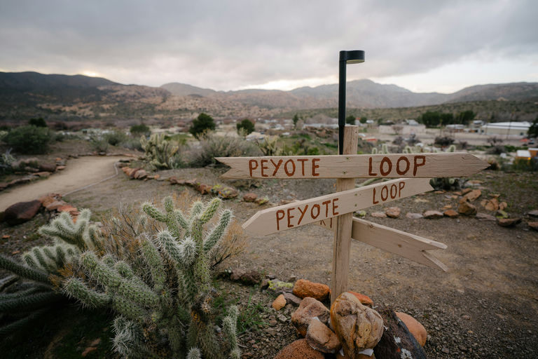 098. UW-23-@stefman_-08652-(Saturday, Scenery).jpg