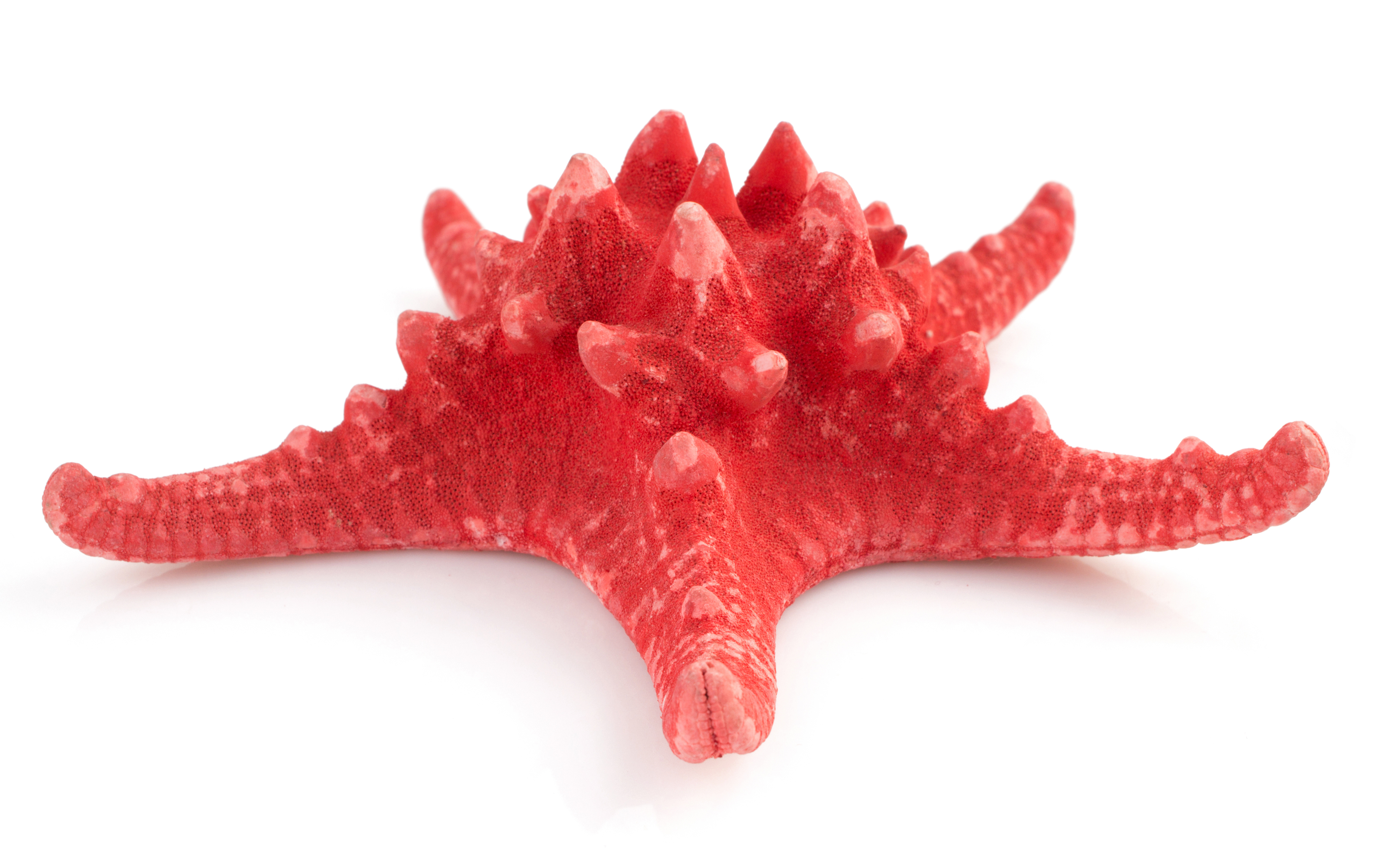 Photo of a group of plastic products created by Bennet Plastics.