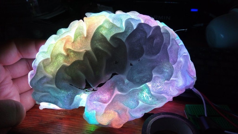 PlasticBrain project