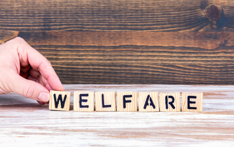 Don’t Miss Out: Parents of Teenagers Need to Extend Child Benefit by 31 August