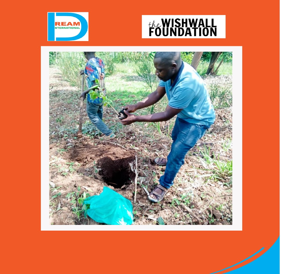 planting for biodiversity of landscapes in Rwenzori mountains