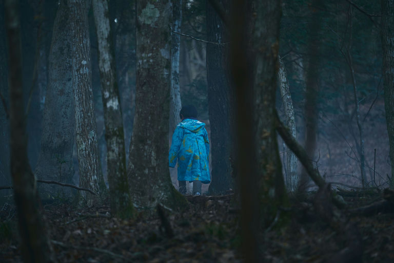 © 2024 “Missing Child Videotape” Film Partners