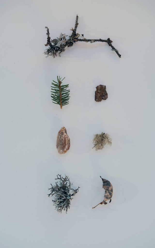 Forestis Dolomites gallery 3