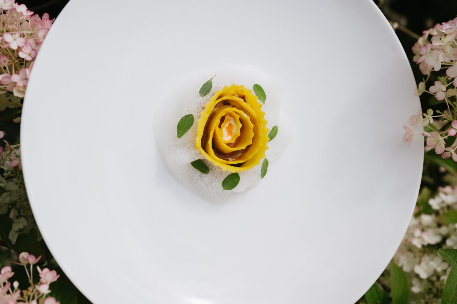 Biohotel Hermitage gallery 5