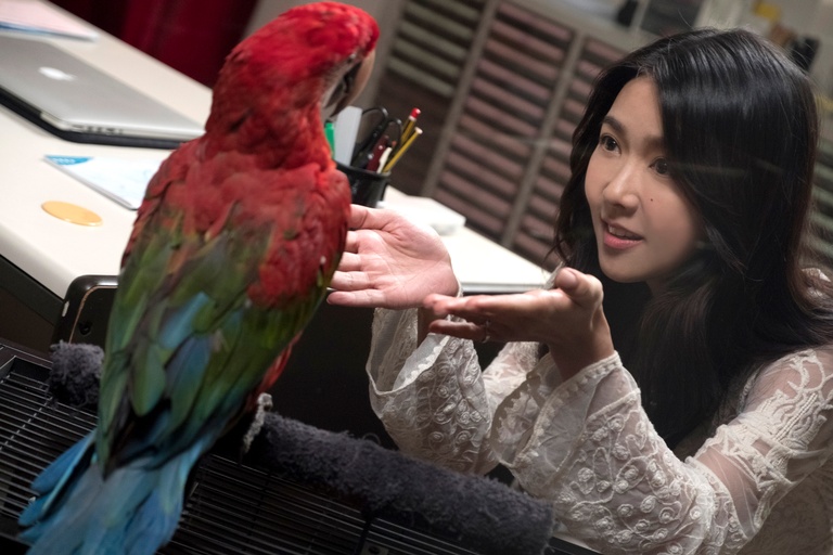 Courtesy of Well Go USA Entertainment