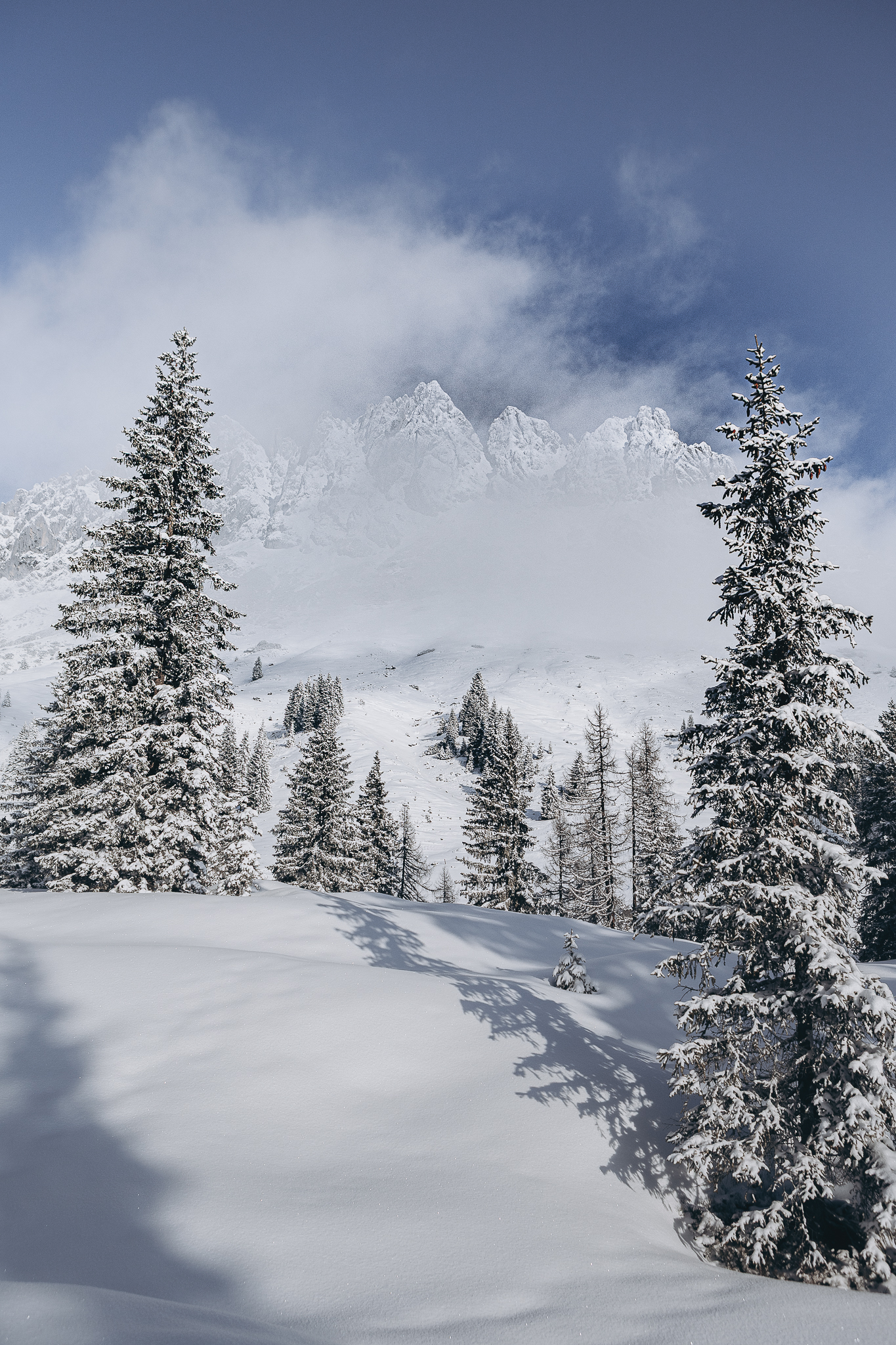 stieg’nhaus gallery 3