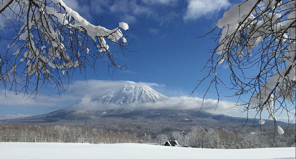 Andaru Collection Niseko gallery 3