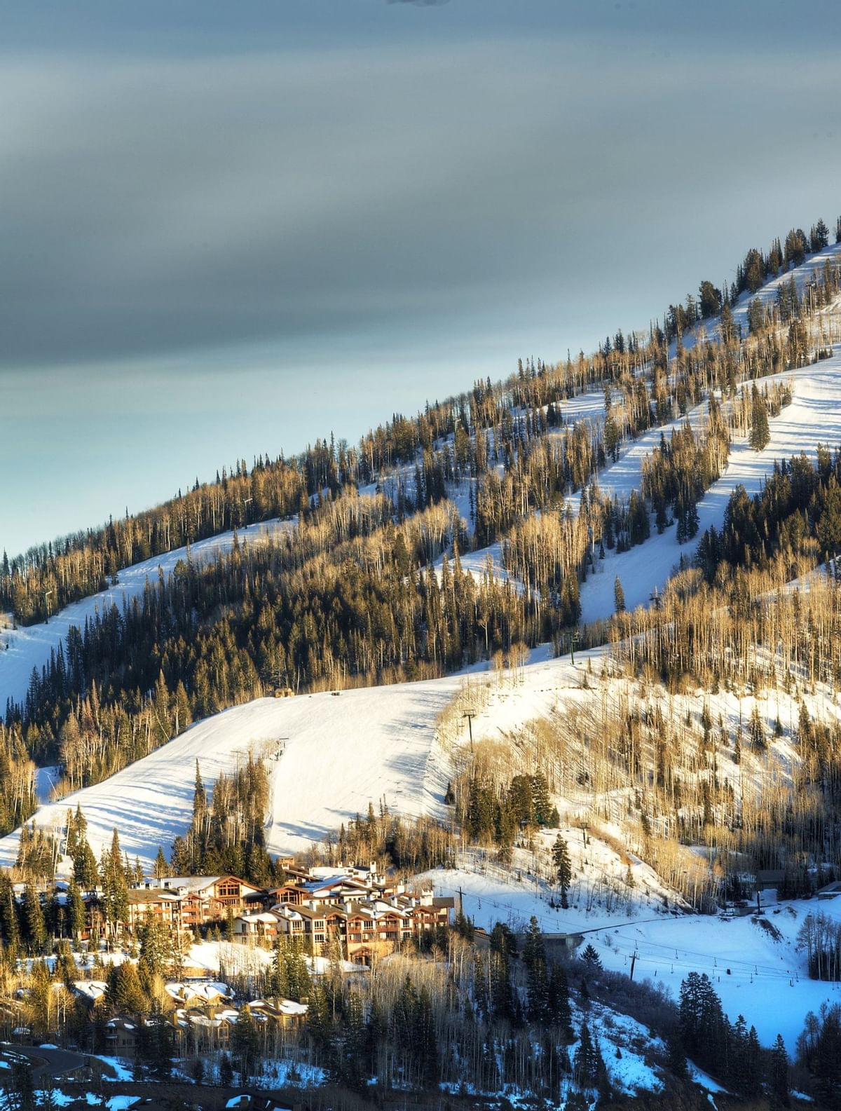 Stein Eriksen Lodge gallery 3