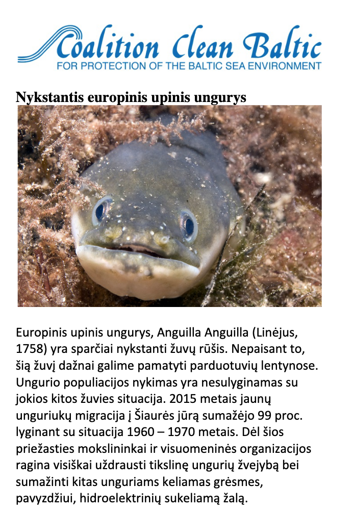 Nykstantis europinis upinis ungurys
