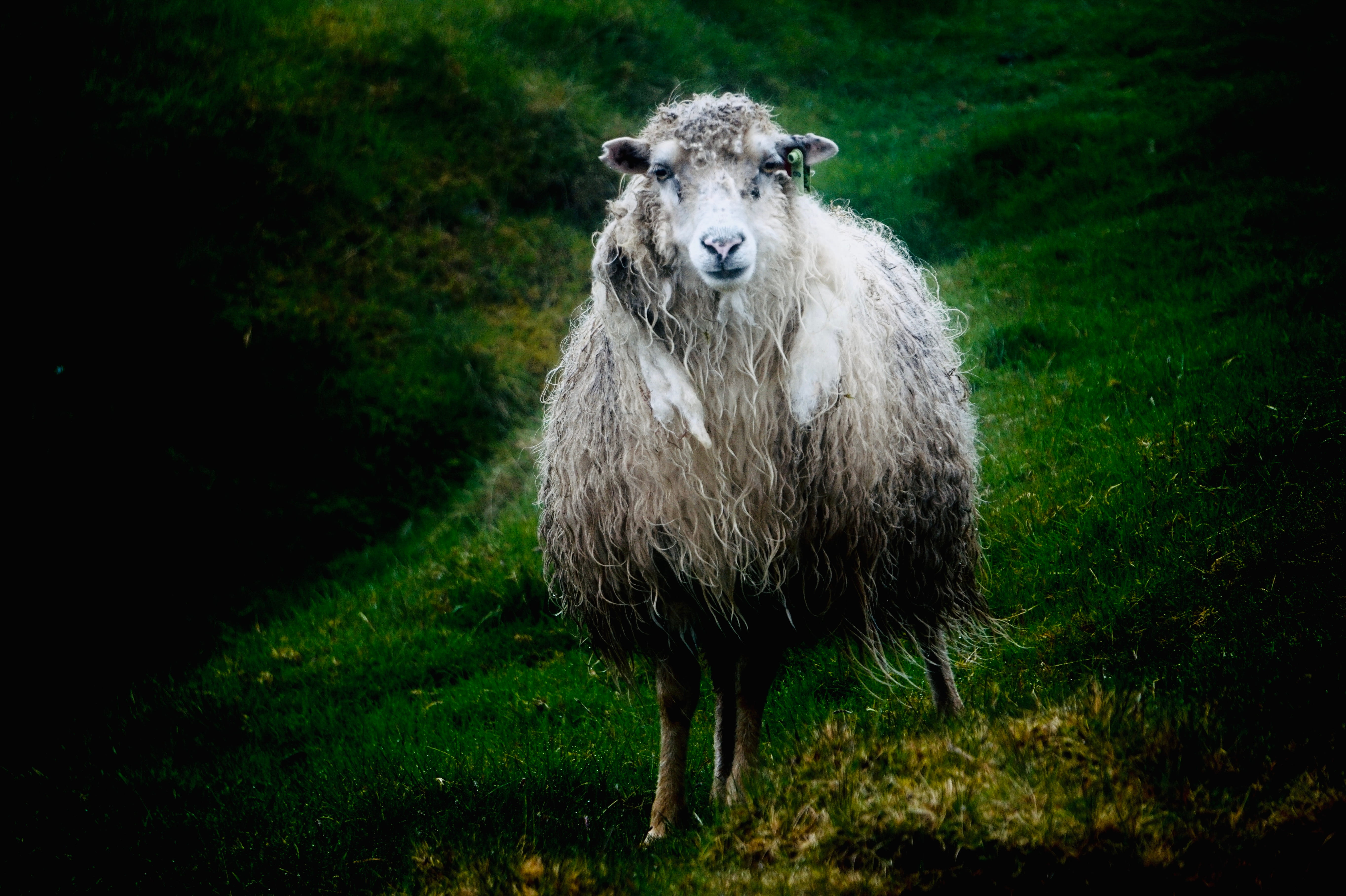 Barsk - Fotografien von Gudrun Koch