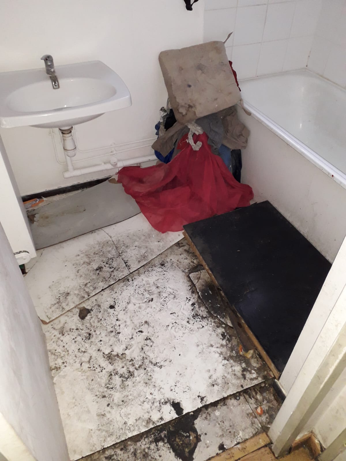 Combattre l'infection de rats et cafards à Bretigny Sur Orge