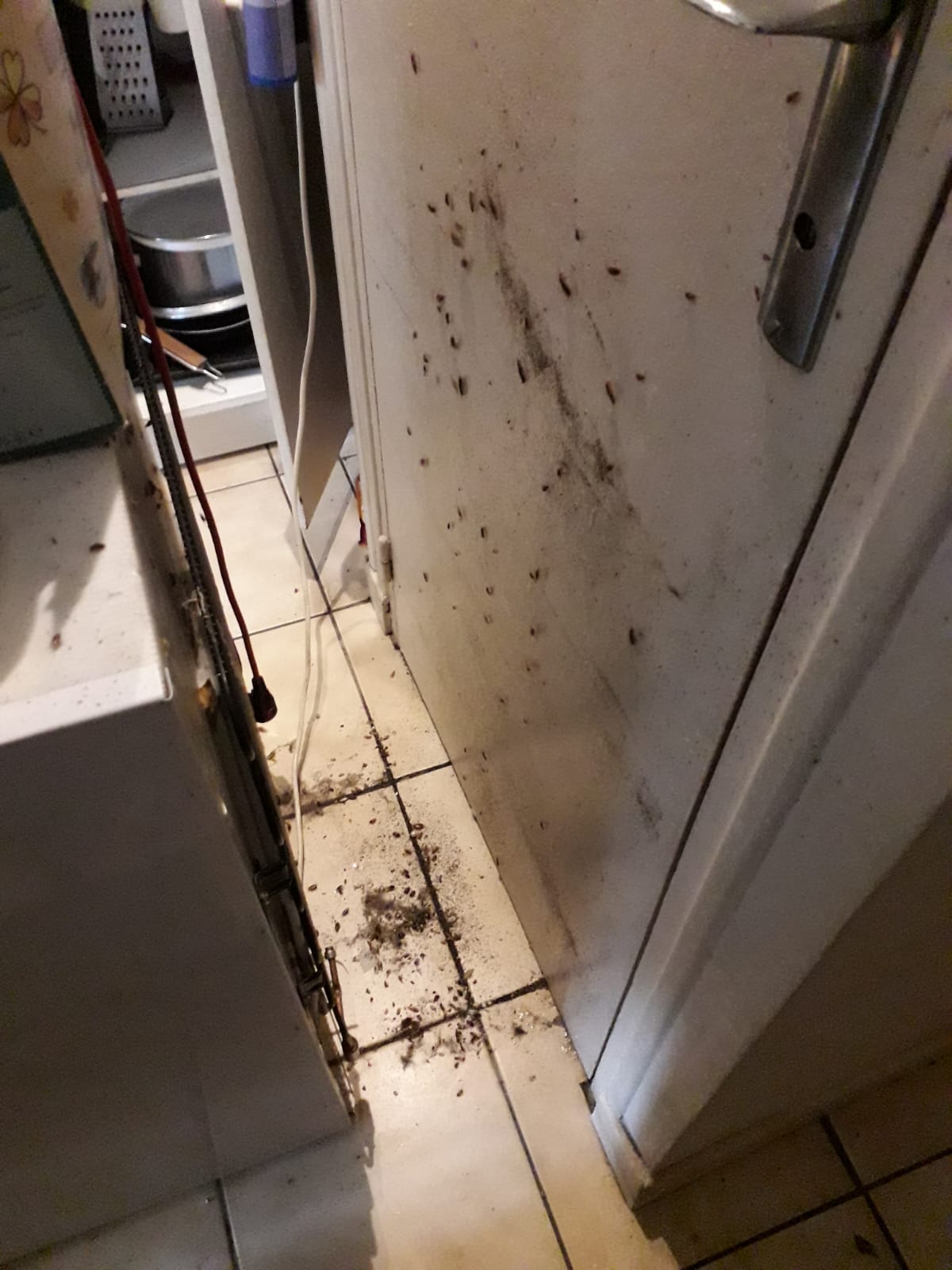 Nous proposons des solutions adaptées pour la lutte contre les cafards, blattes et autres nuisibles  en fonctions du site à traiter et des exigences qualités (IFS, BRC, HACCP…). Application d'insecticide, pulvérisation, nébulisation, lutte mécanique, DEIV ..avec un suivi et une garantie de ré-intervention