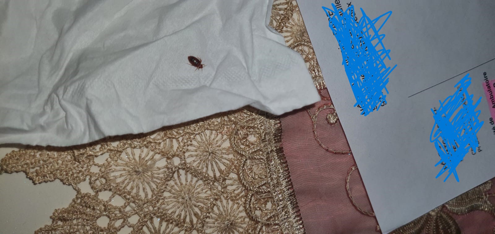 Combattre l'infection de rats et cafards à Pantin