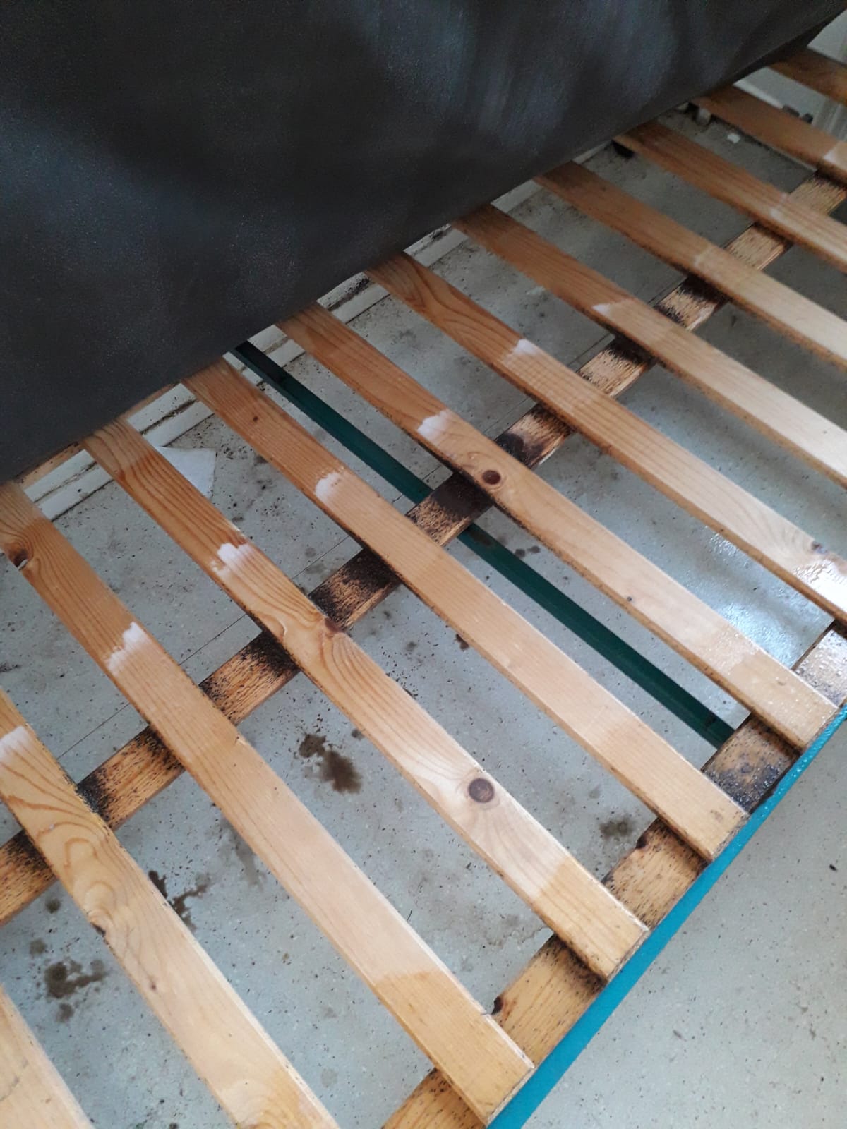 Combattre l'infection de rats et cafards à Chevilly-La-rue