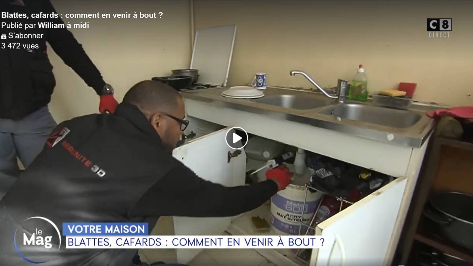 Combattre l'infection de rats et cafards à Thiais