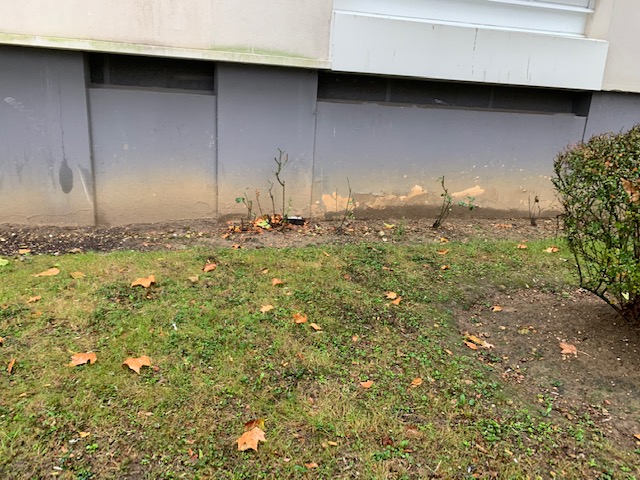 Combattre l'infection de rats et cafards à Saint-Fargeau-Ponthierry