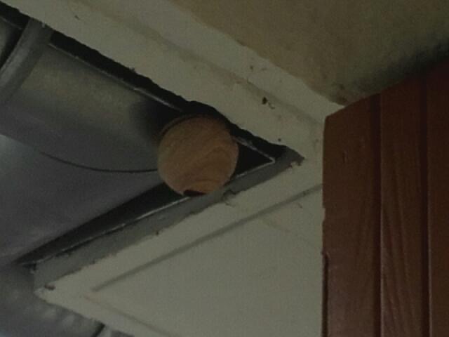 Milly-la-For&ecirc;t