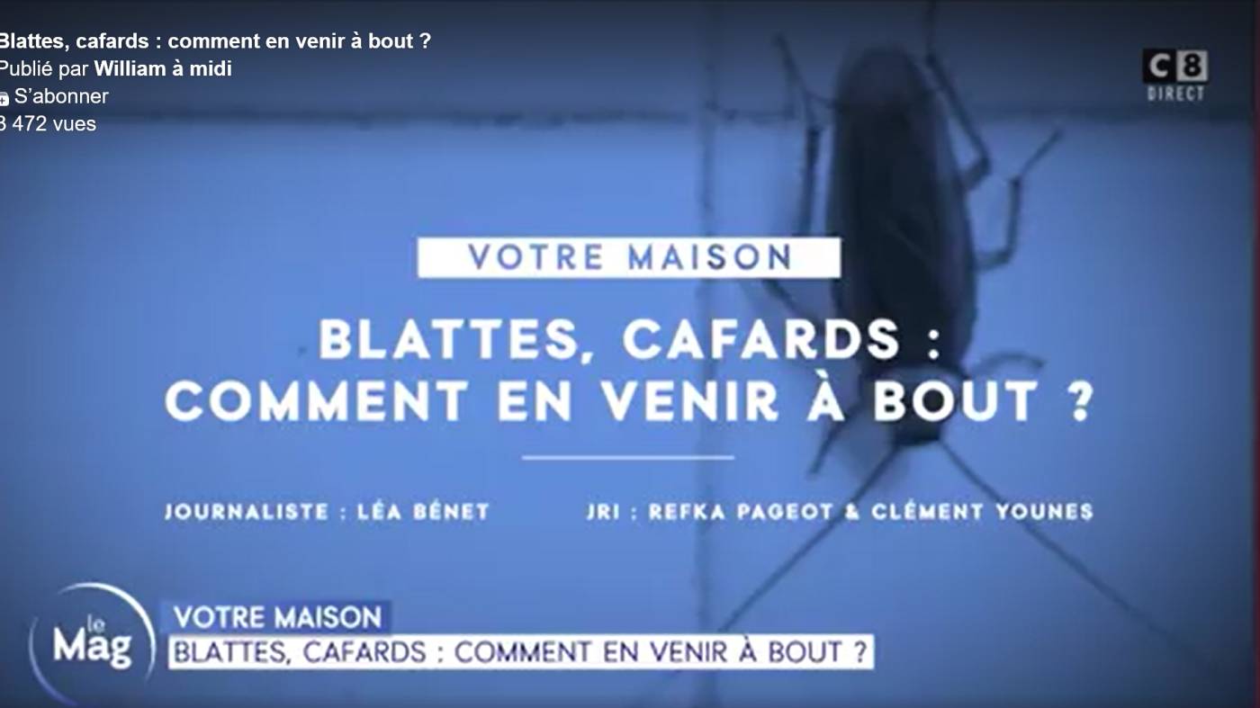 Combattre l'infection de rats et cafards à Torcy