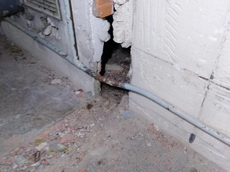 Combattre l'infection de rats et cafards à Noisiel