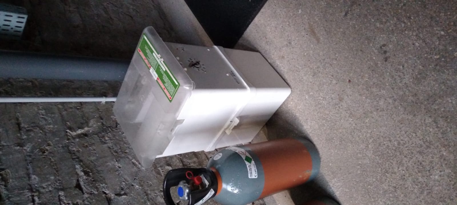 Combattre l'infection de rats et cafards à Marnes-la-Coquette