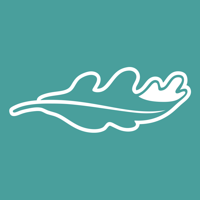 Israel, Jordan Study Tour with Living Oaks Church