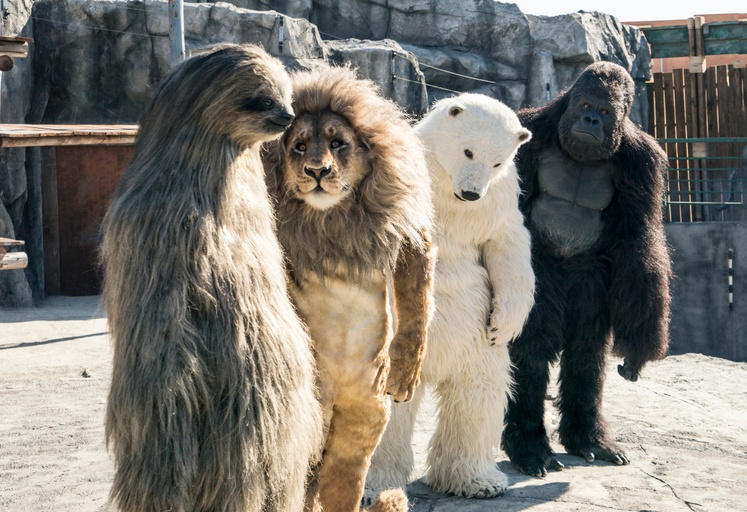 Photo Courtesy of MPI Media Group