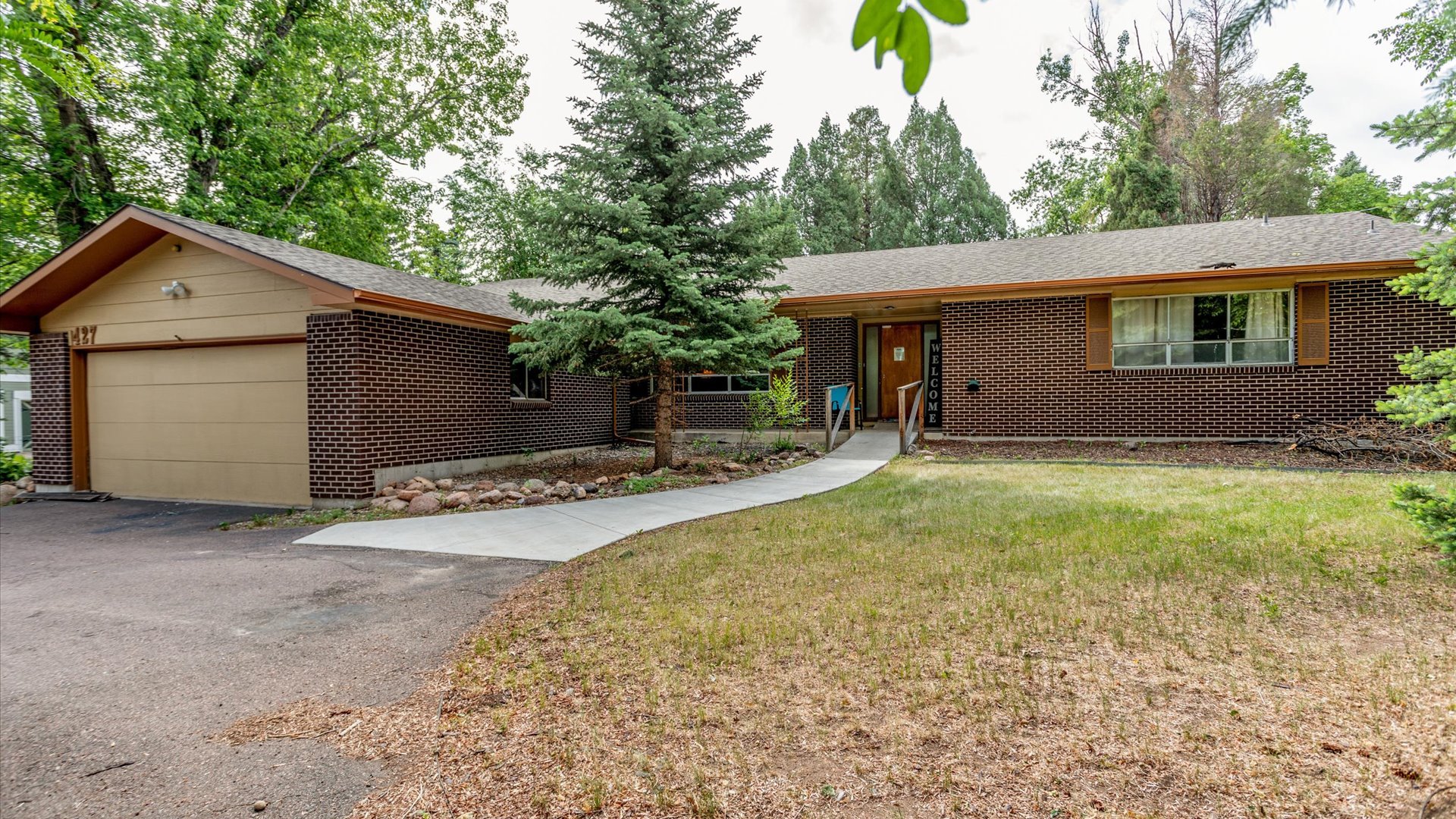 Constant Care V Cheyenne