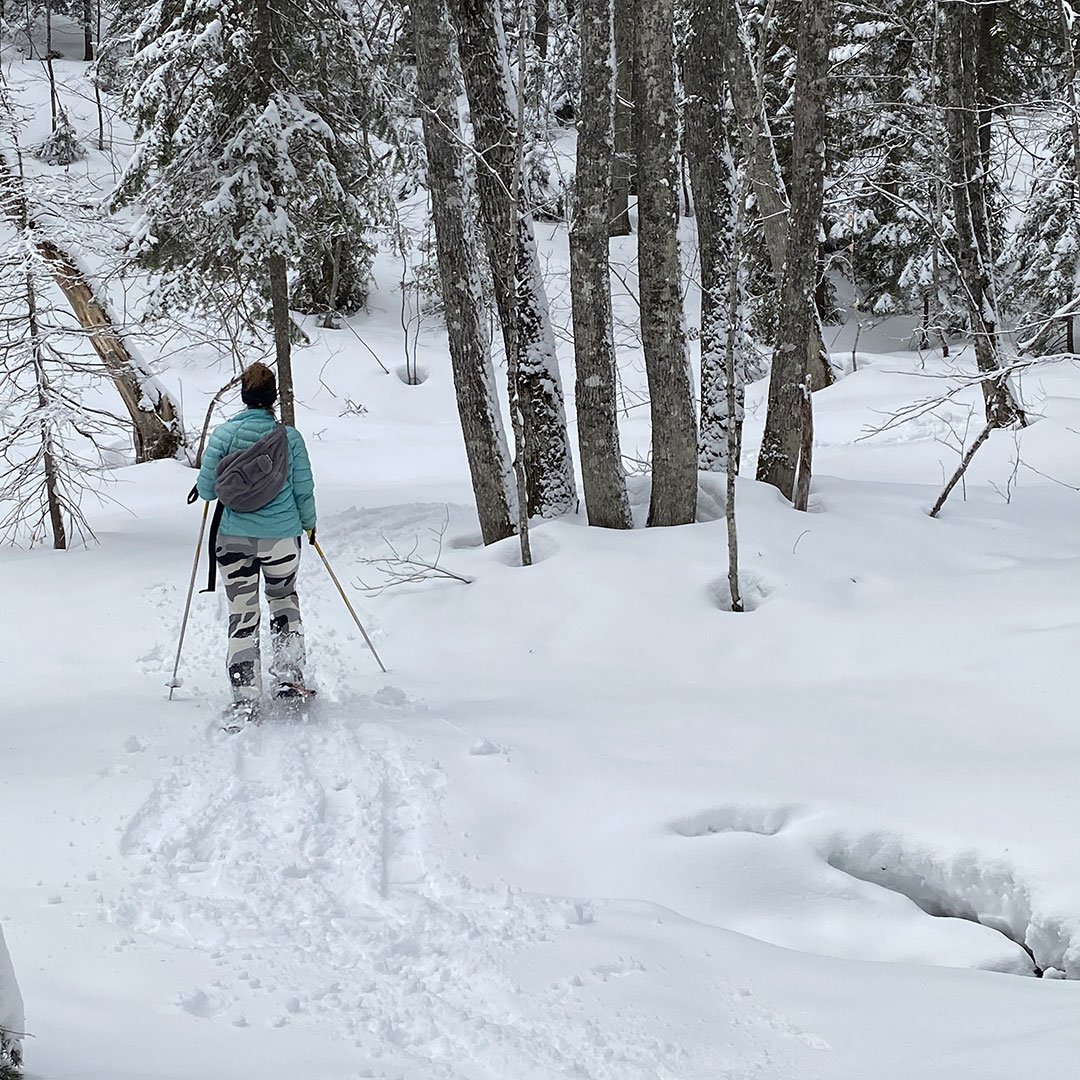 Mount Bohemia - Luxury ski hotel gallery image 3 showing alpine architecture, interior design, or mountain views