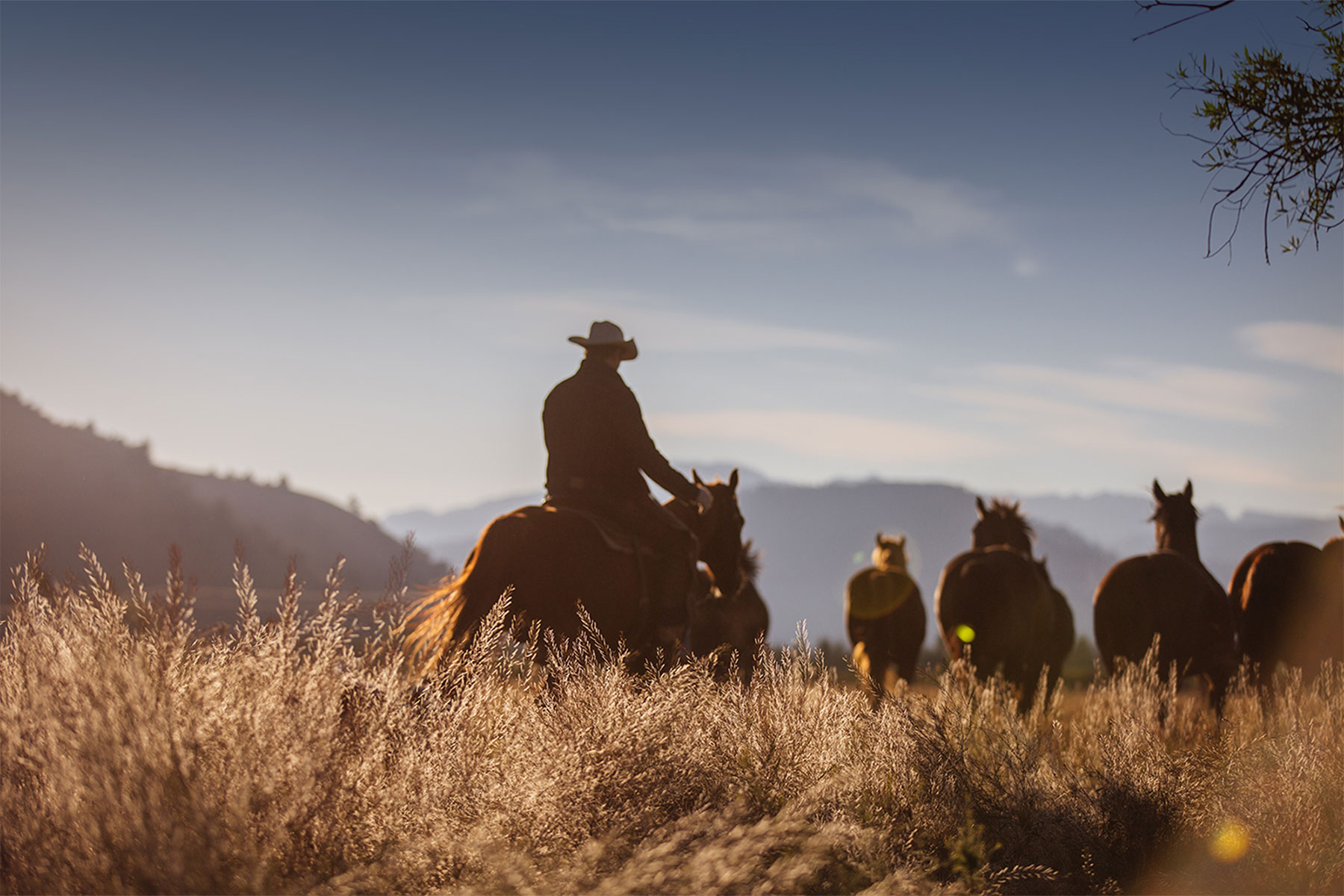 Caldera House gallery 5