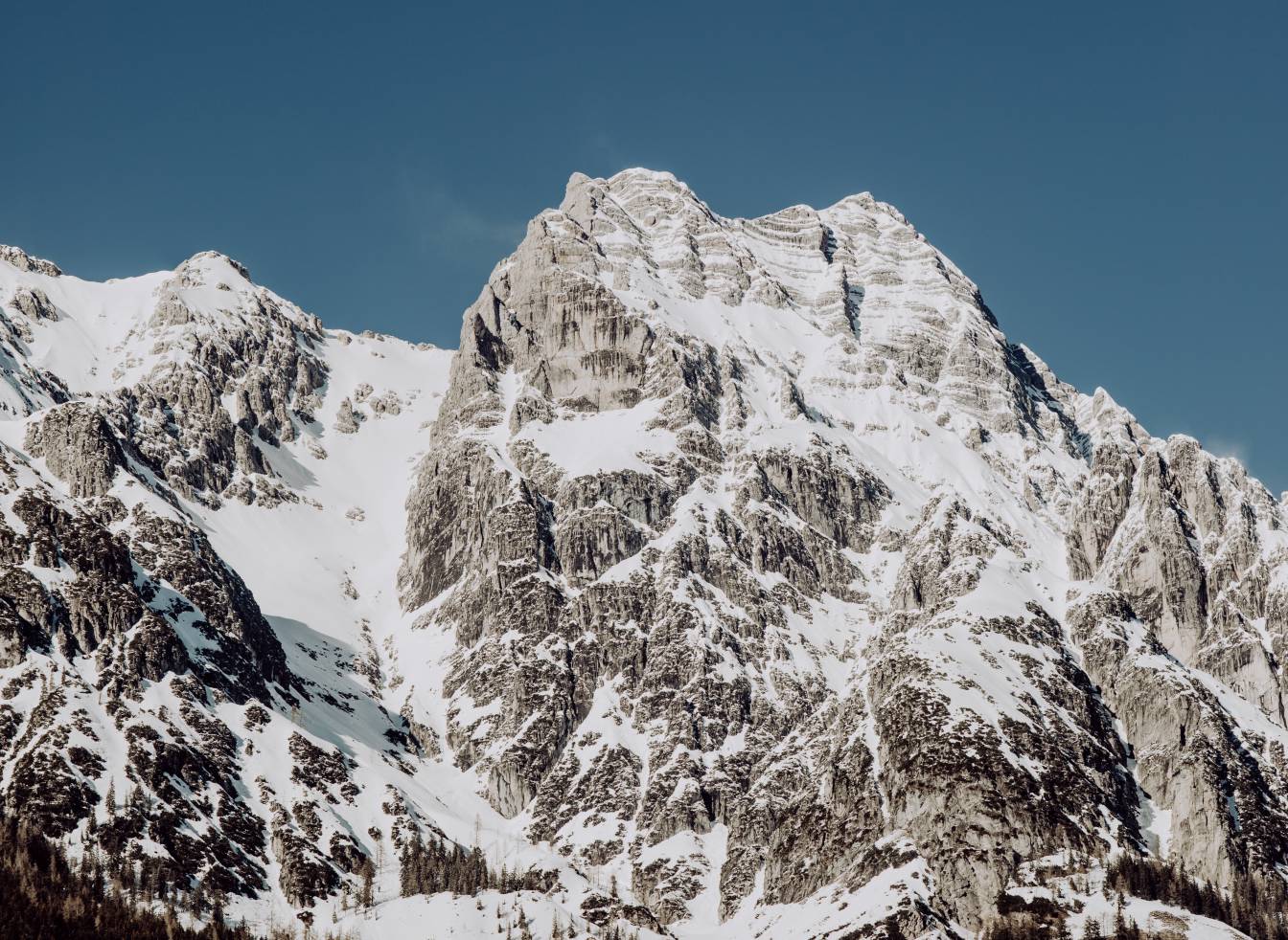 Naturhotel Forsthofgut gallery 3