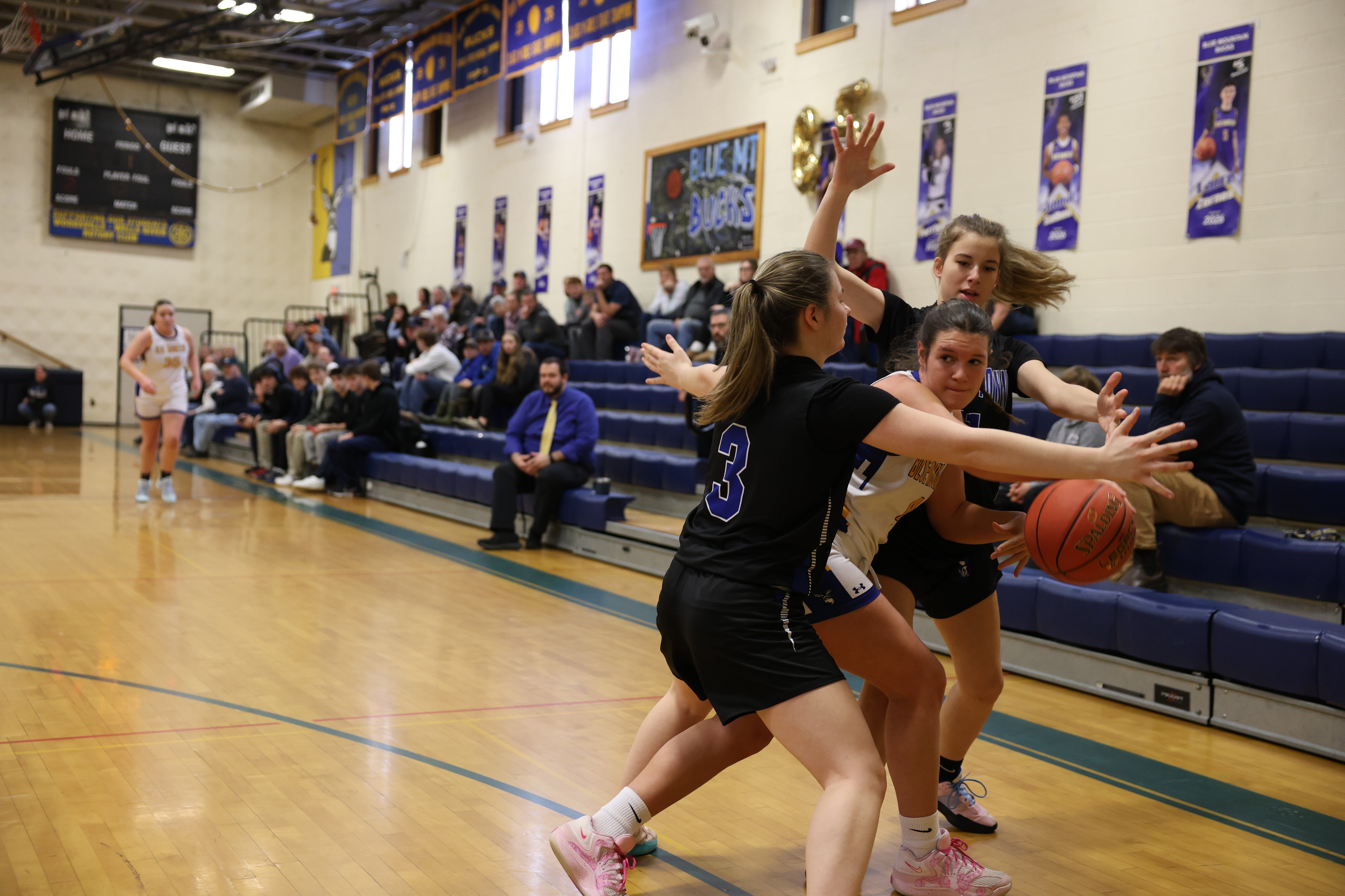 Post Season Honors For BMU Hoops