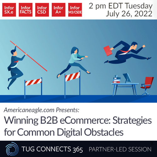 Winning B2B eCommerce: Strategies for Common Digital Obstacles