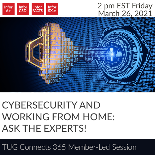 TUG Member-Led Panel Discussion - Cybersecurity and Working from Home - Ask the Experts