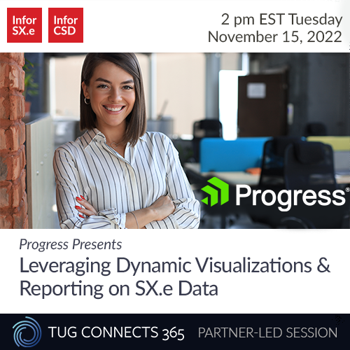 Leveraging Dynamic Visualizations and Reporting on Infor SX.e Data