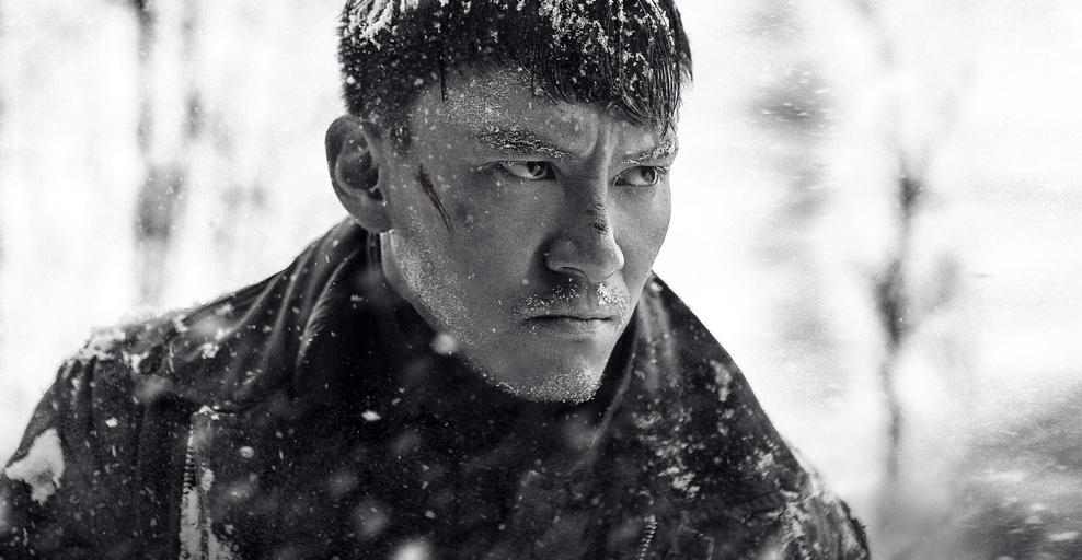 Courtesy of Well Go USA Entertainment