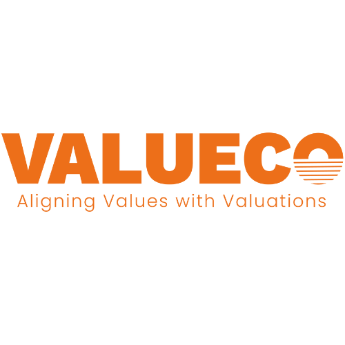 Logo VALUECOMETRICS