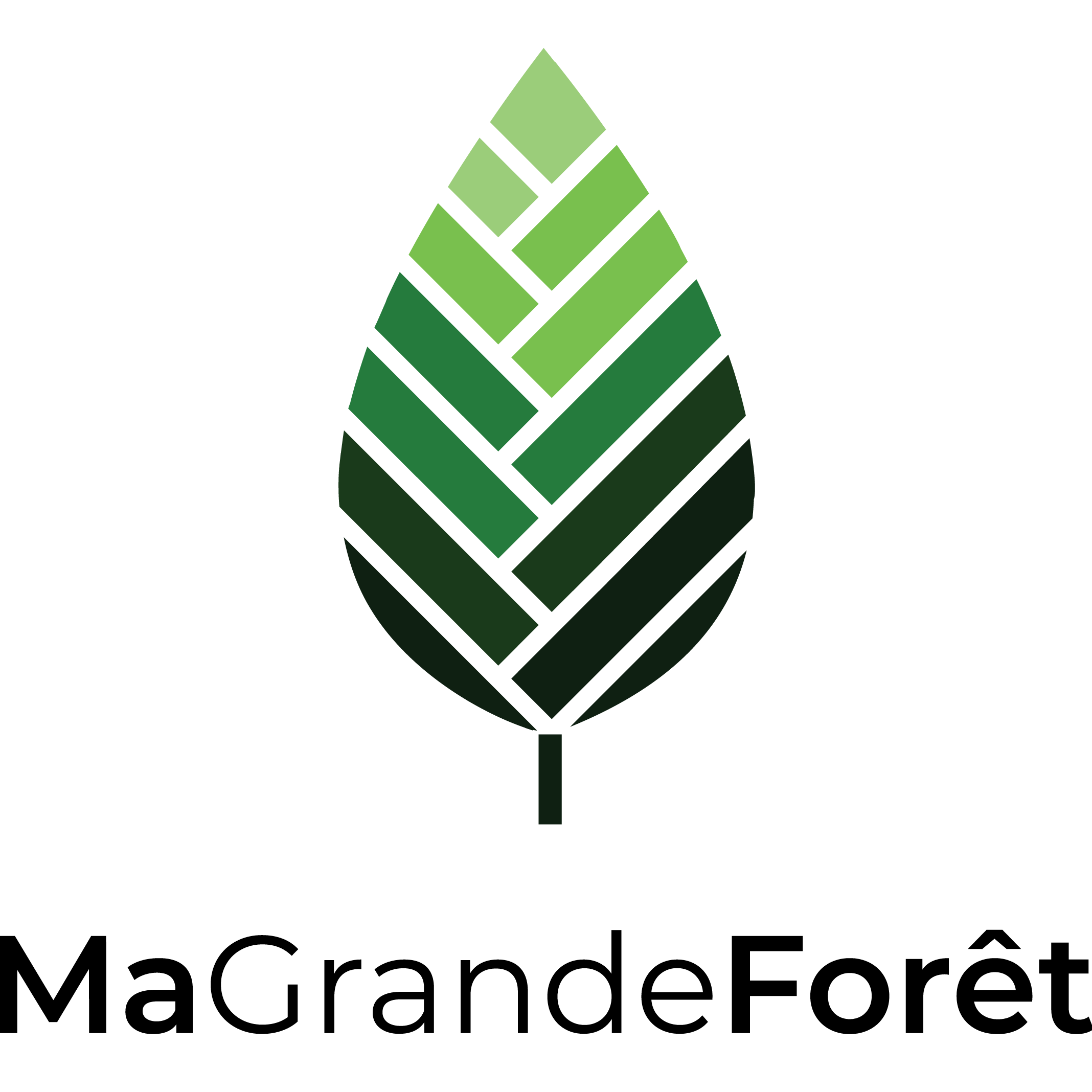 Logo SAS MA GRANDE FORET (NOS GRANDES FORETS)
