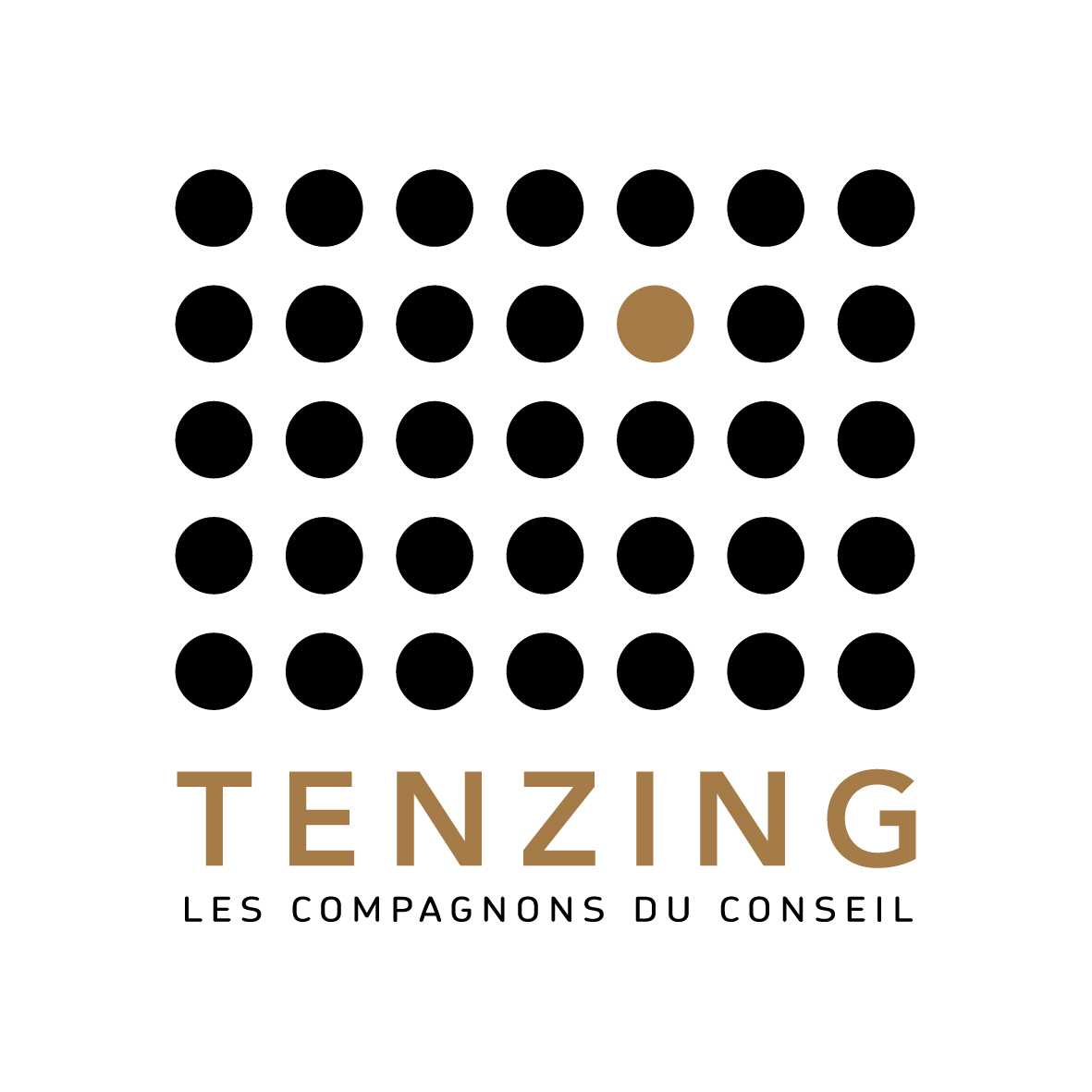 Logo TENZING